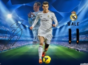 开云官网-霍勒迪的防守艺术，NBA总决赛之夜，一场教科书式的个人表演