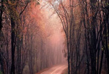 开云棋牌下载-沙特阿拉伯触底反弹，重回晋级赛道的简单介绍